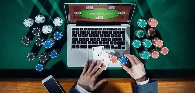 Hướng dẫn Sodo - Bắt đầu từ thông tin bạn thực sự cần